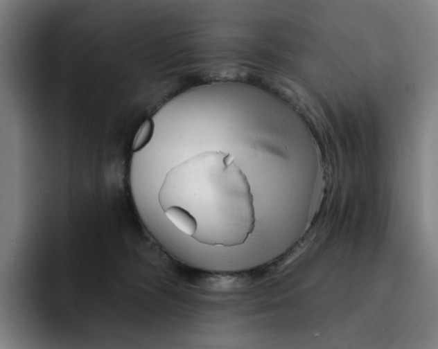 X0000091890326200709261644