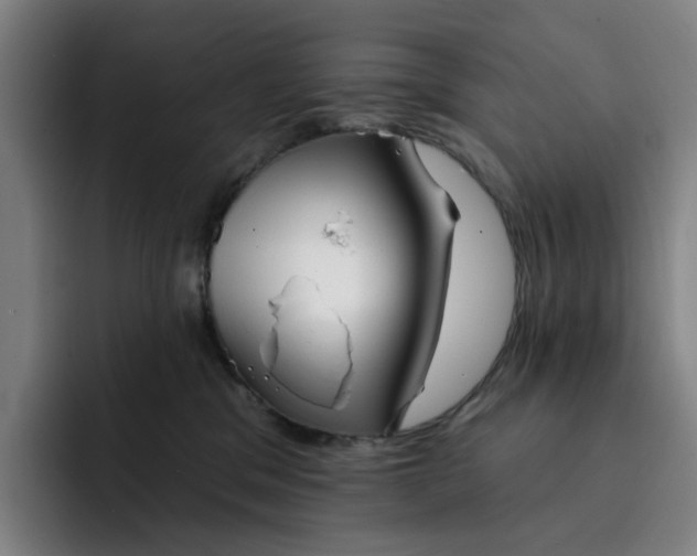 X0000091890329200709261644