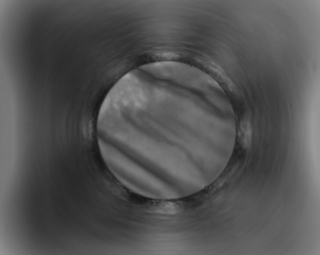 X0000091890330200709261644
