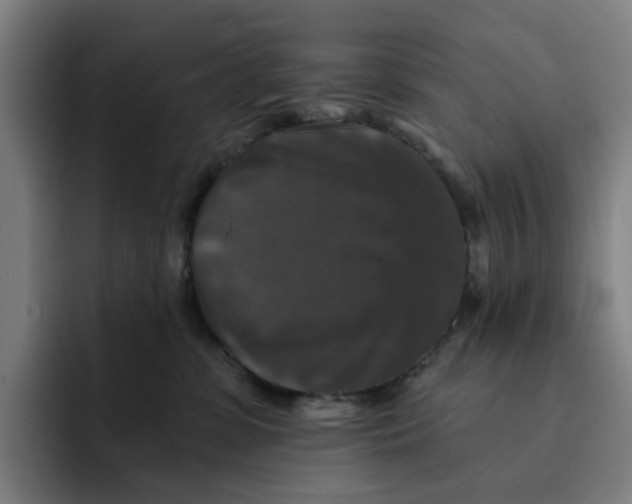 X0000091890331200709261644