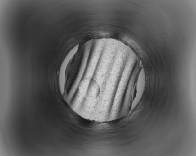 X0000091890333200709261644