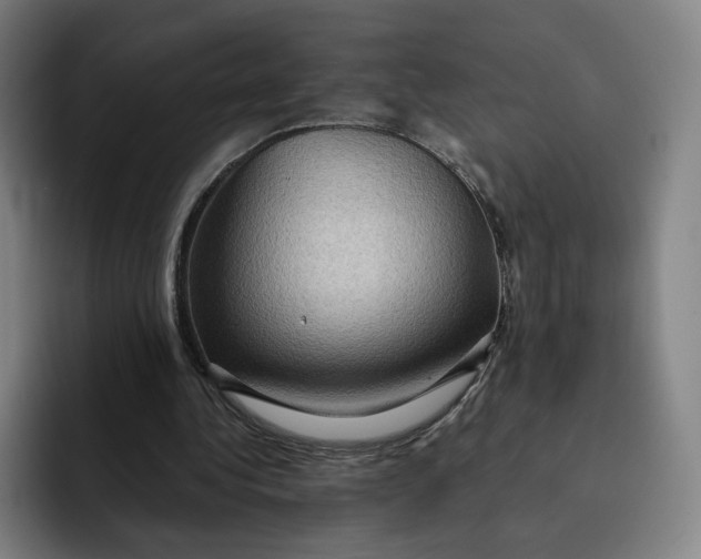 X0000091890340200709261643