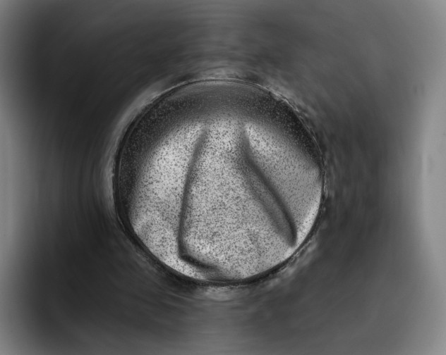 X0000091890341200709261643