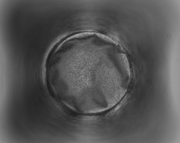 X0000091890342200709261643