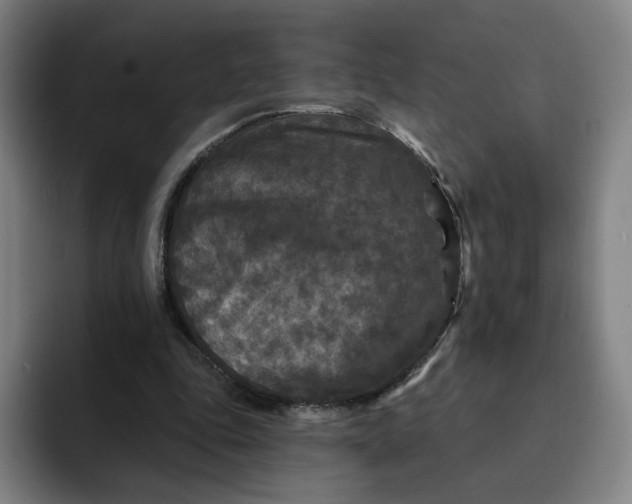 X0000091890343200709261643