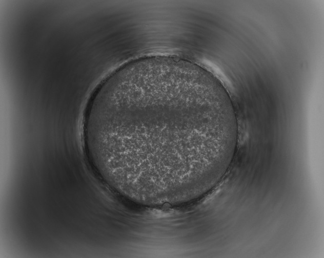 X0000091890346200709261643