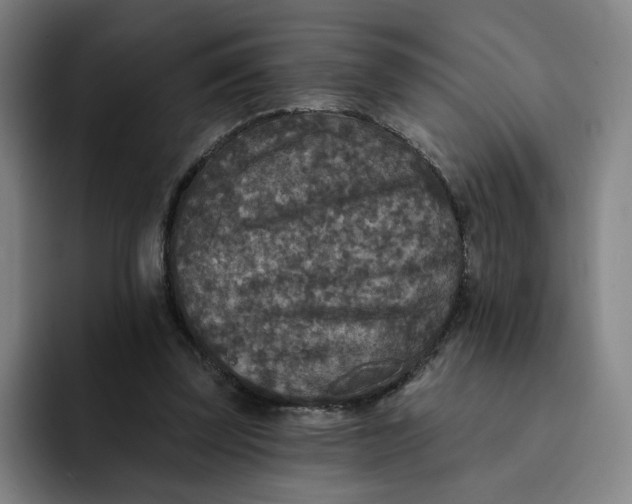 X0000091890347200709261643