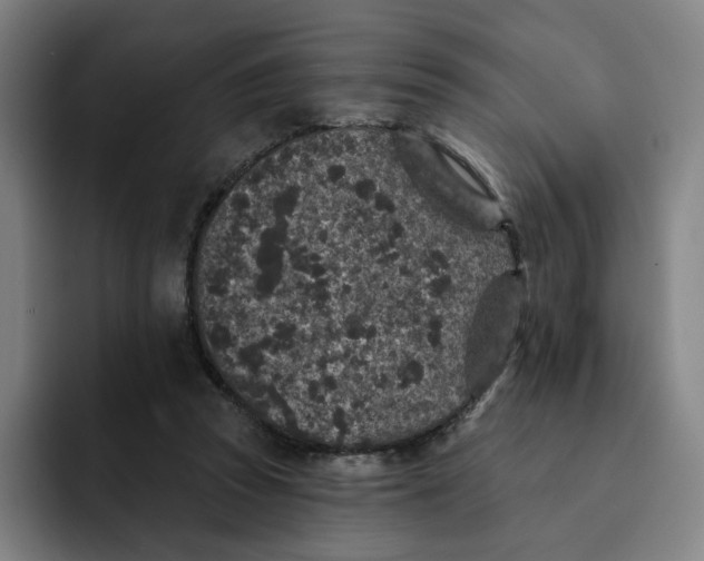 X0000091890353200709261643