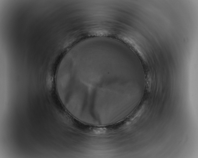 X0000091890355200709261643