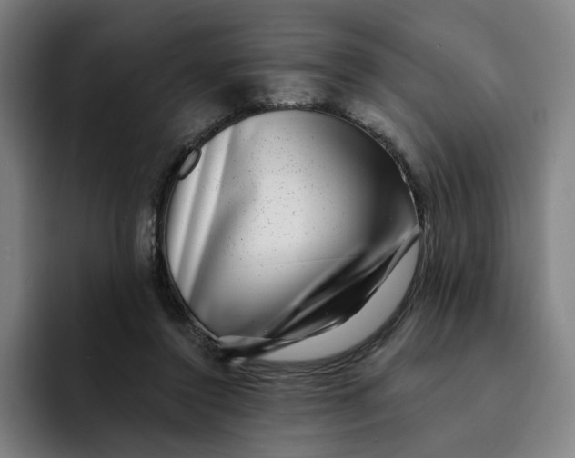 X0000091890356200709261643