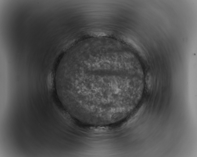 X0000091890359200709261644