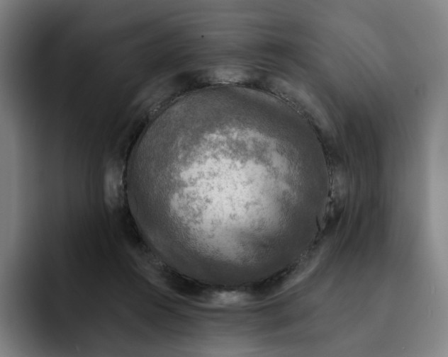 X0000091890360200709261644