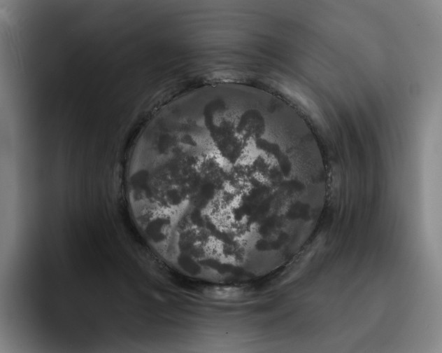 X0000091890361200709261644