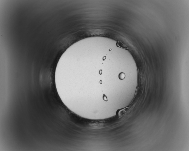 X0000091890362200709261644