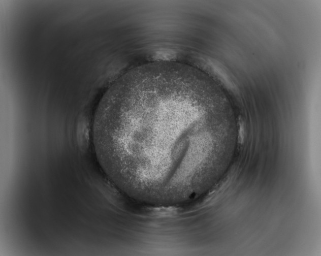 X0000091890363200709261644