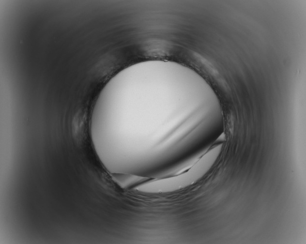 X0000091890364200709261644