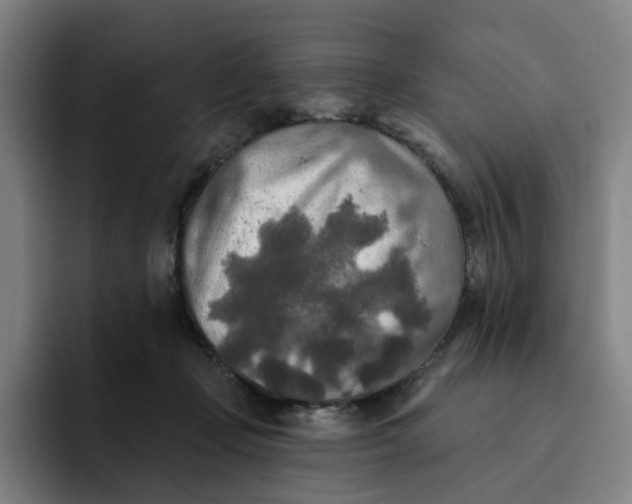 X0000091890365200709261644