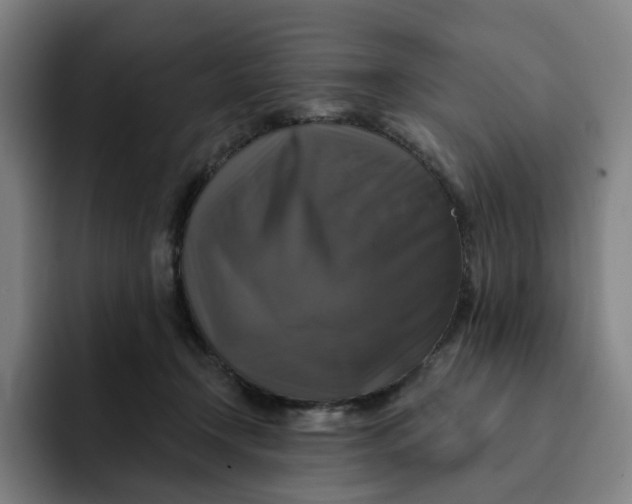 X0000091890366200709261644