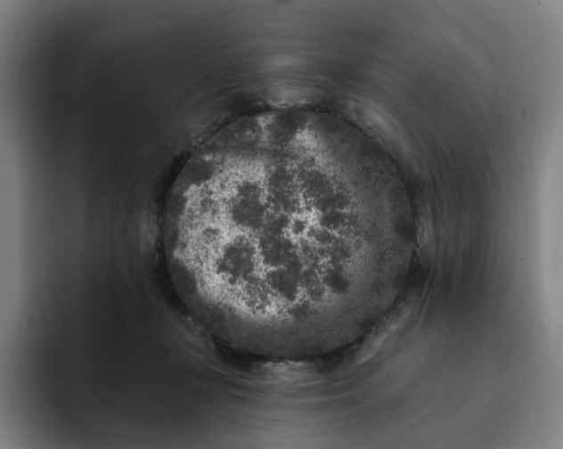 X0000091890367200709261644