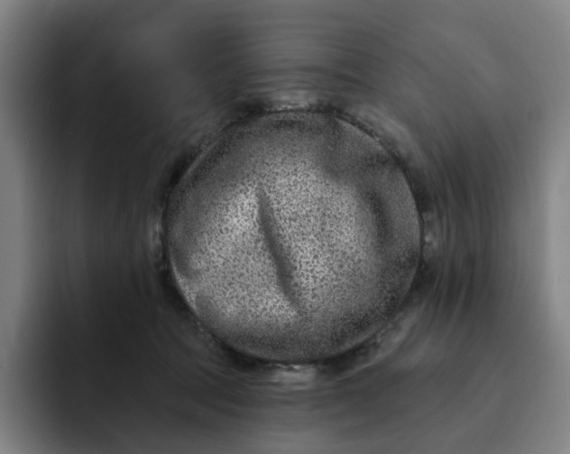 X0000091890369200709261644