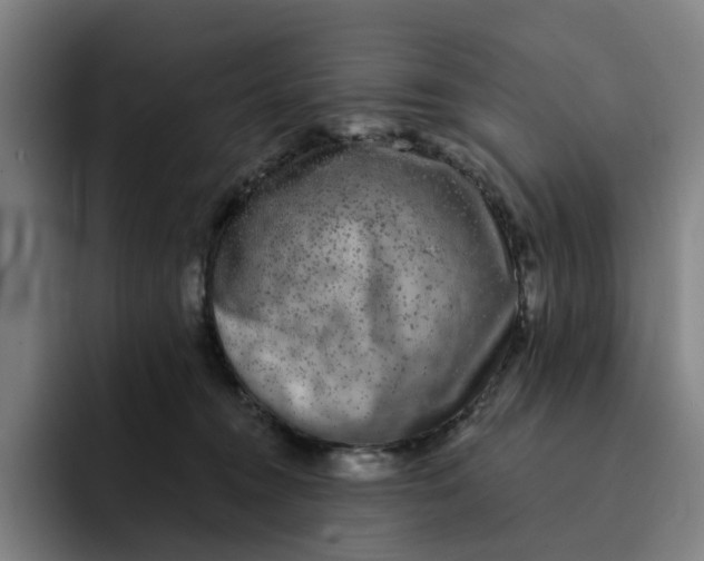 X0000091890372200709261644