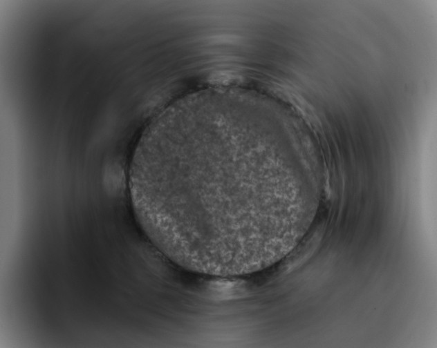 X0000091890375200709261644