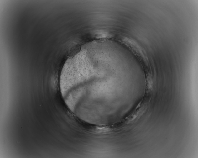 X0000091890376200709261644