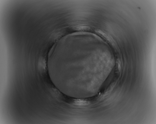 X0000091890380200709261644