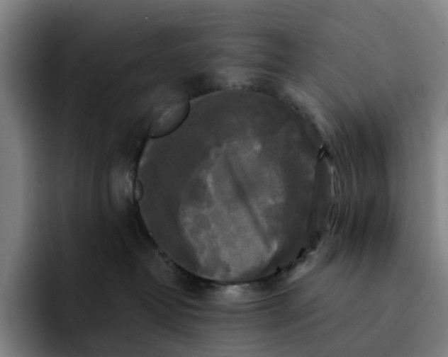 X0000091890382200709261644