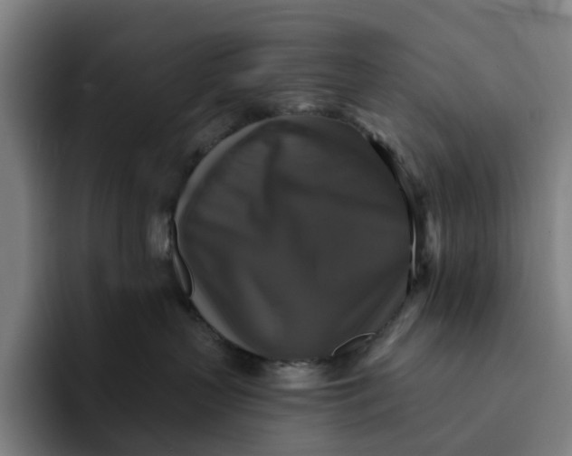 X0000091890383200709261644