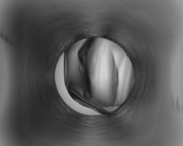 X0000091890384200709261644