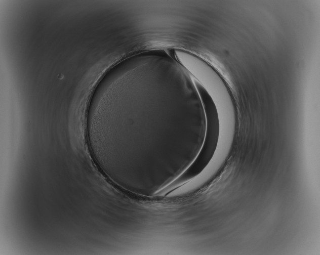 X0000091890385200709261643