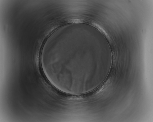 X0000091890386200709261643