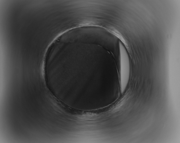 X0000091890387200709261643