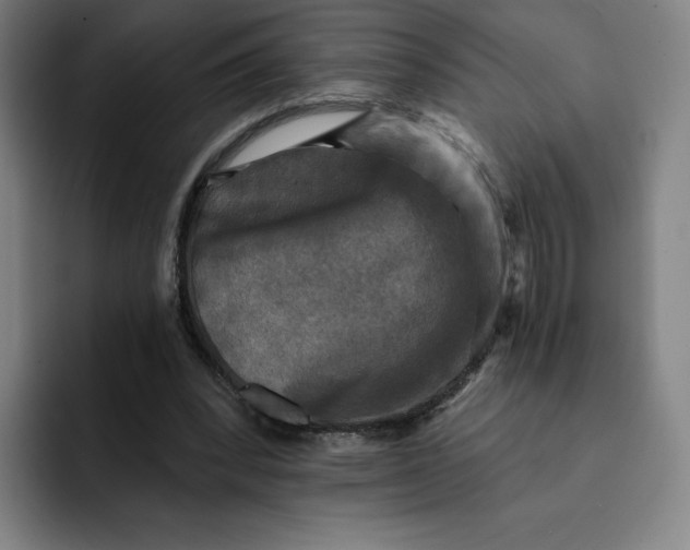 X0000091890392200709261643