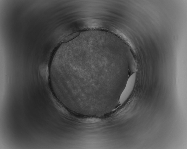 X0000091890397200709261643