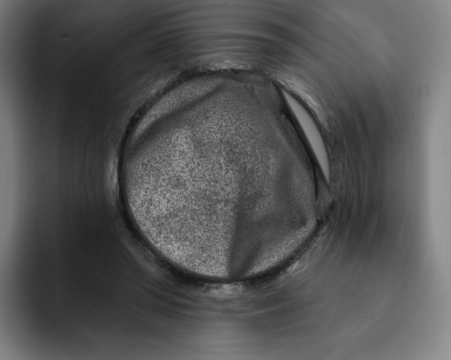 X0000091890398200709261643