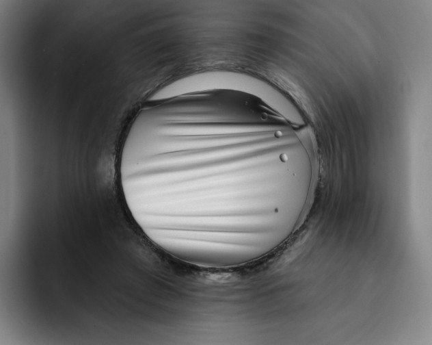 X0000091890401200709261643