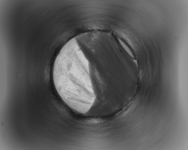 X0000091890402200709261643