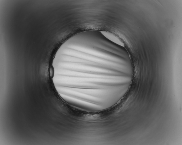 X0000091890403200709261643