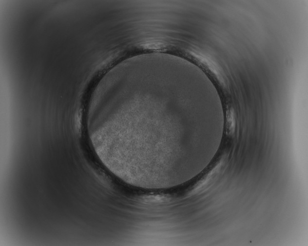 X0000091890404200709261643