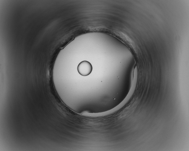 X0000091890405200709261643