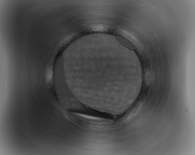 X0000091890407200709261643