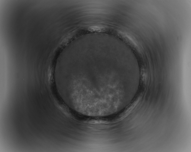 X0000091890408200709261643