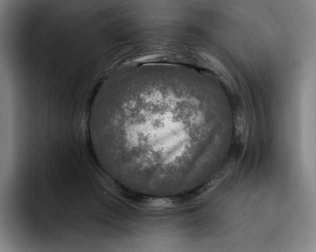 X0000091890409200709261643