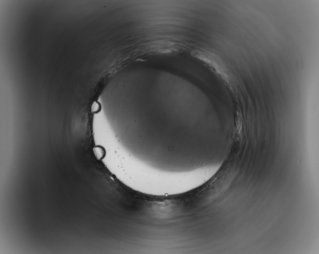 X0000091890411200709261643