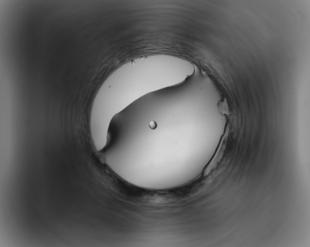 X0000091890412200709261643