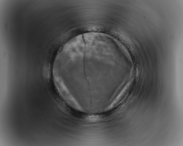 X0000091890413200709261643