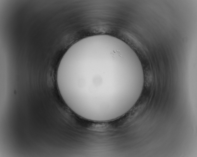 X0000091890414200709261643