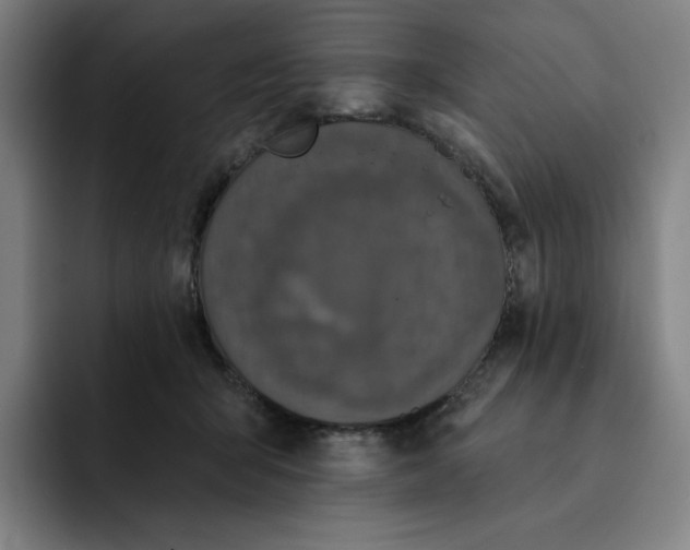 X0000091890415200709261643